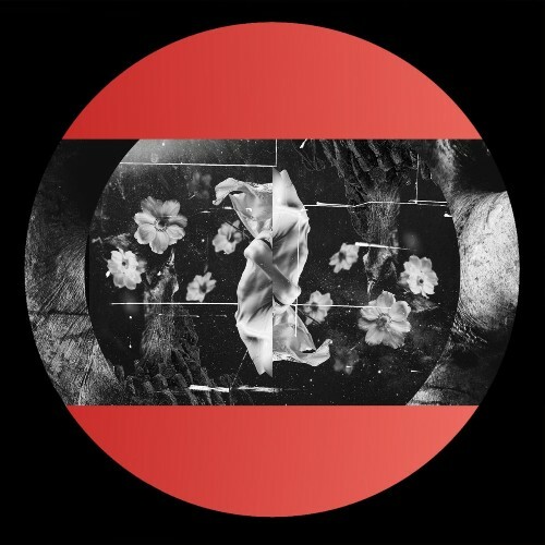  DJ Dextro - Tantooine (2026) 