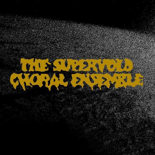  The Supervoid Choral Ensemble - The Supervoid Choral Ensemble (2023) 