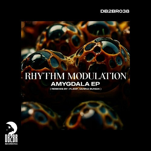  Rhythm Modulation - Amygdala (2024) 