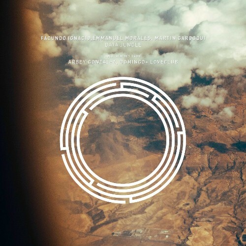  Facundo Ignacio, Emmanuel Morales, Martin Gardoqui - Data Jungle (2025) 