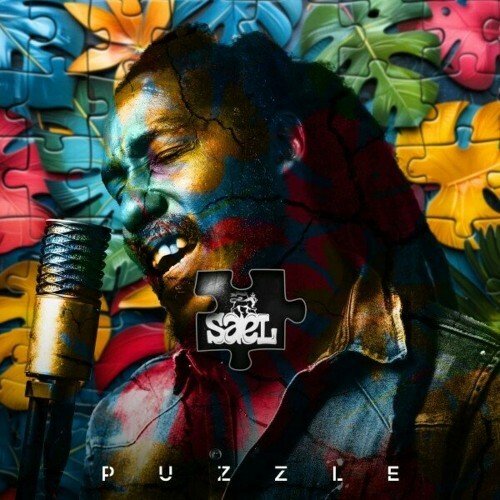 VA -  Sael - Puzzle (2024) [MP3] MEW3M99_o