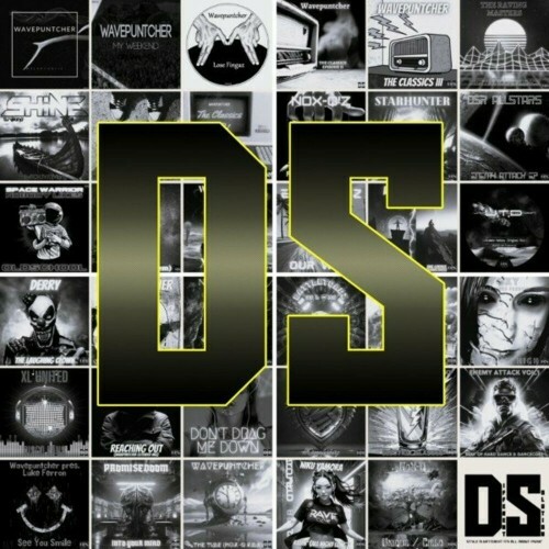  DSR Allstars - Best of Compilation (2024) 