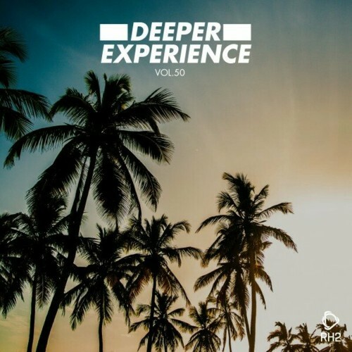 Deeper Experience, Vol. 50 (2024) 