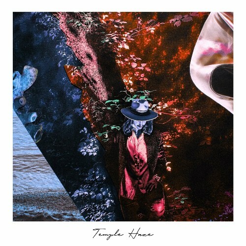 Temple Haze - An Opening Within (The Remixes) (2024)