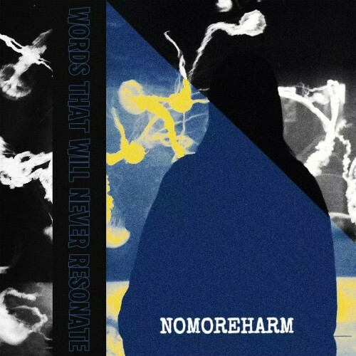  NoMoreHarm - Words That Will Never Resonate (2024) 