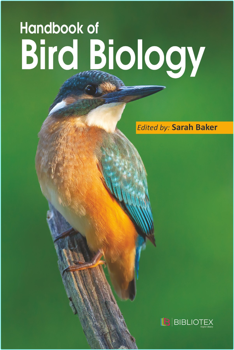 [Image: ME17LERY_o.png]