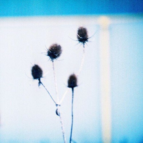 Maps and Diagrams - tone isolation (2026) 