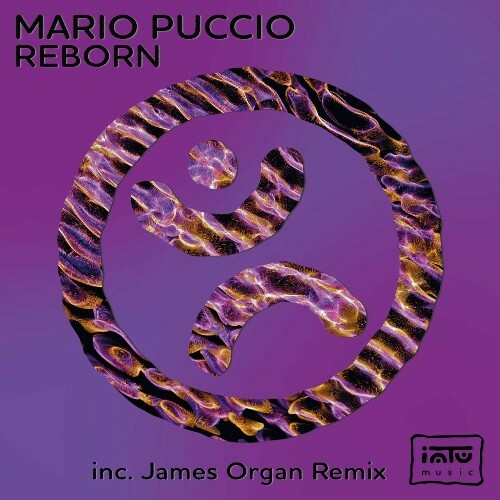 Mario Puccio — Reborn (2024)