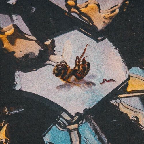  Stain the Canvas - Honey Rot (2025) 