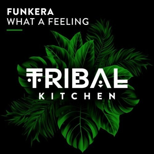  Funkera - What A Feeling (2025) 