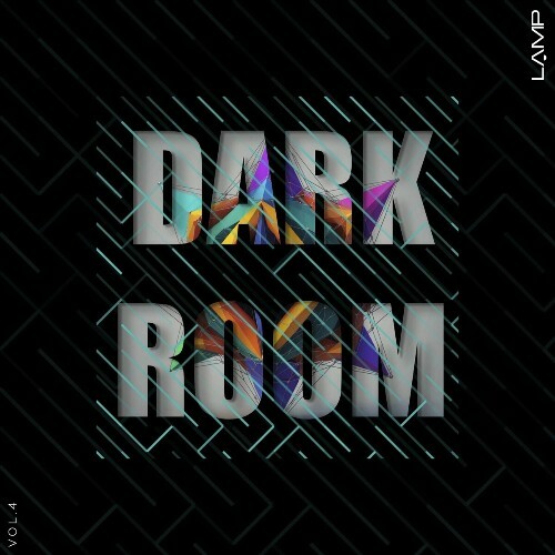  Dark Room, Vol. 4 (2024) 