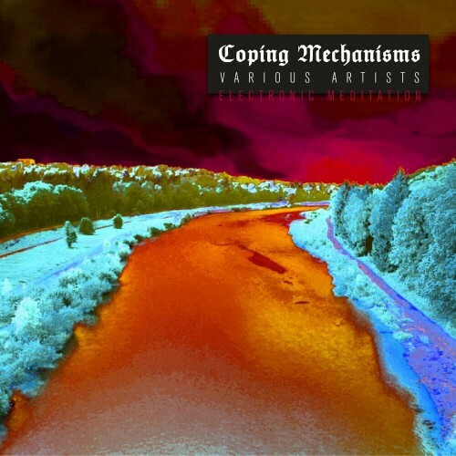 VA -  Coping Mechanisms (Electronic Meditation) (2024) [MP3] MEW71CP_o