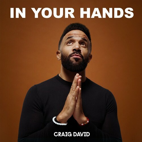  Craig David - In Your Hands (2024) 