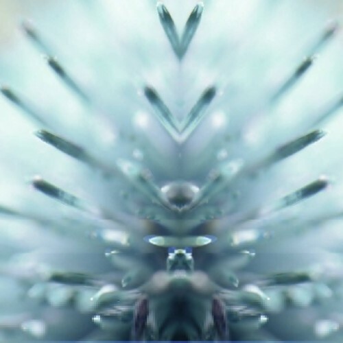  Kahai Owens - Textural Radiation (2025) 