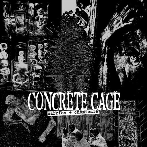 Concrete Cage - Carrion + Chemicals (2026) Concrete Cage - Carrion + Chemicals (2026)