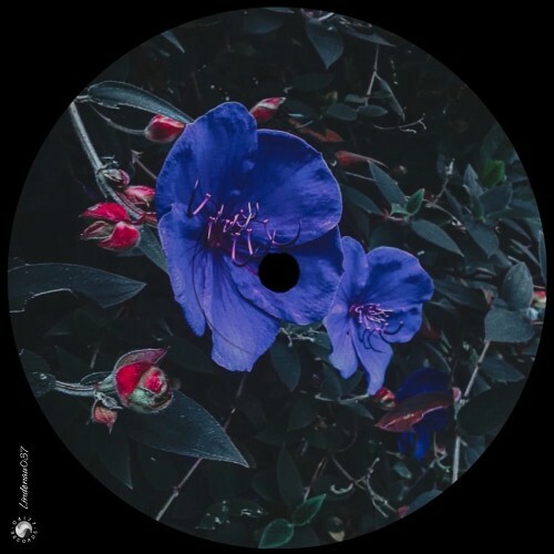  Ron Deacon - Back (2026) 