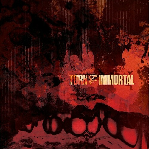  Torn - Immortal (2024) 
