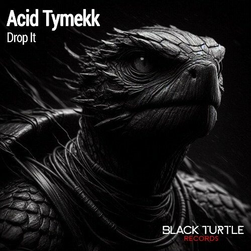 Acid Tymekk - Drop It (2024)