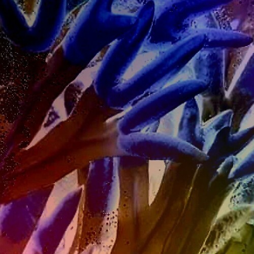  Rolando - Three More (2026) 