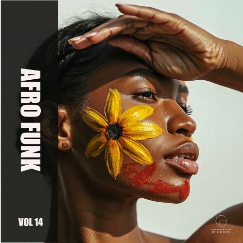  Afro Funk Vol 14 (2025) 