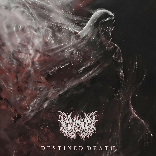 Wishender - Destined Death (2025) Wishender - Destined Death (2025)
