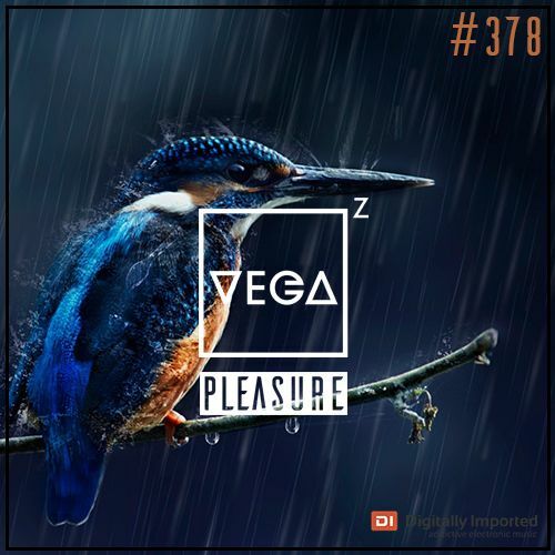  Vega Z - Pleasure 378 (2024-05-08) 