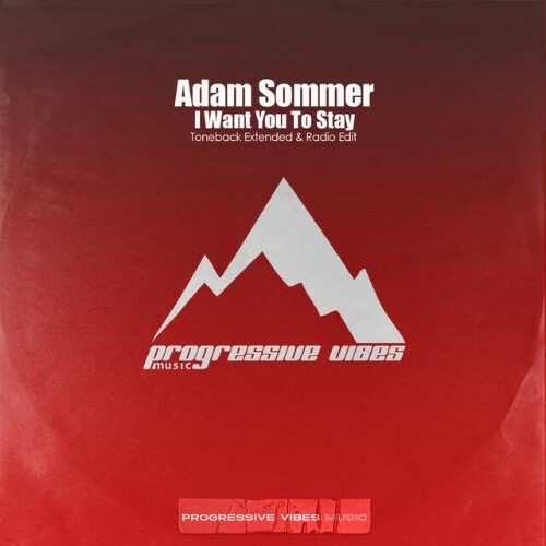  Adam Sommer - I Want You To Stay (2024) 