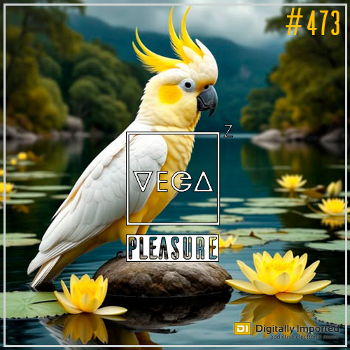  Vega Z - Pleasure 473 (2026-03-04) 