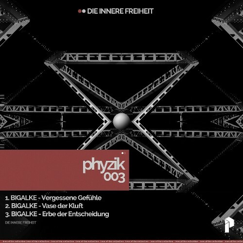  Bigalke - Phyzik 003 (2024) 