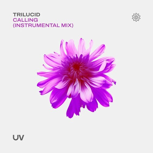  Trilucid - Calling (Instrumental Mixes) (2023) 