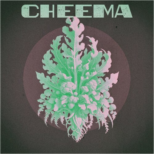  Cheema - Damme La Drette (2024) 