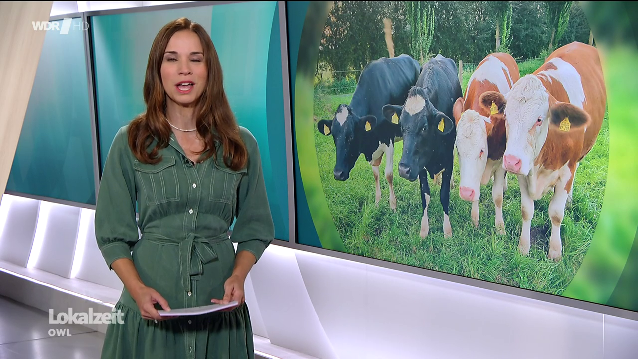 Kristina Sterz - °WDR Lokalzeit OWL° 18.08.2023 - 176X Caps_169.png