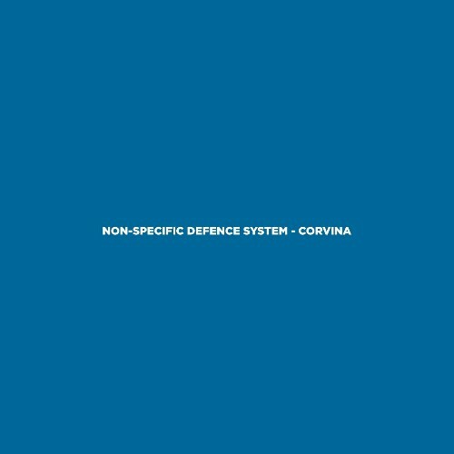 VA - Non-Specific Defence System - Corvina (2024) (MP3) MEU7NAM_o