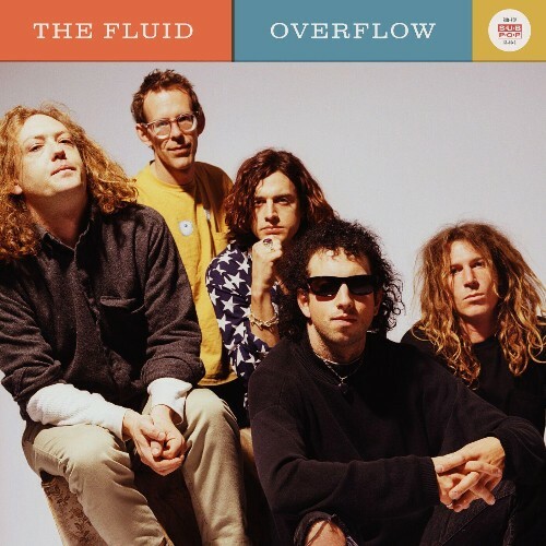  The Fluid - Overflow (2024) 