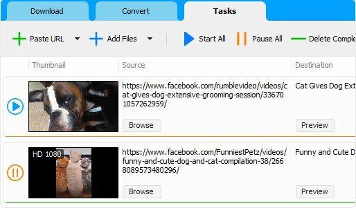 Social Media Downloader 8.3.6 (x64)