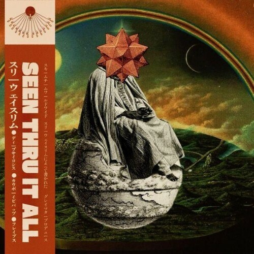  3wayslim - Seen Thru It All (2026) 