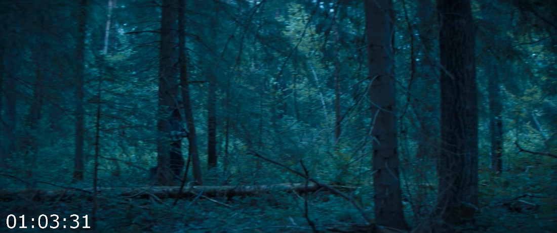 [Image: ME16ZCTY_o.png]