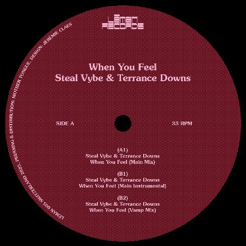  Steal Vybe x Terrance Downs - When You Feel (2026) 