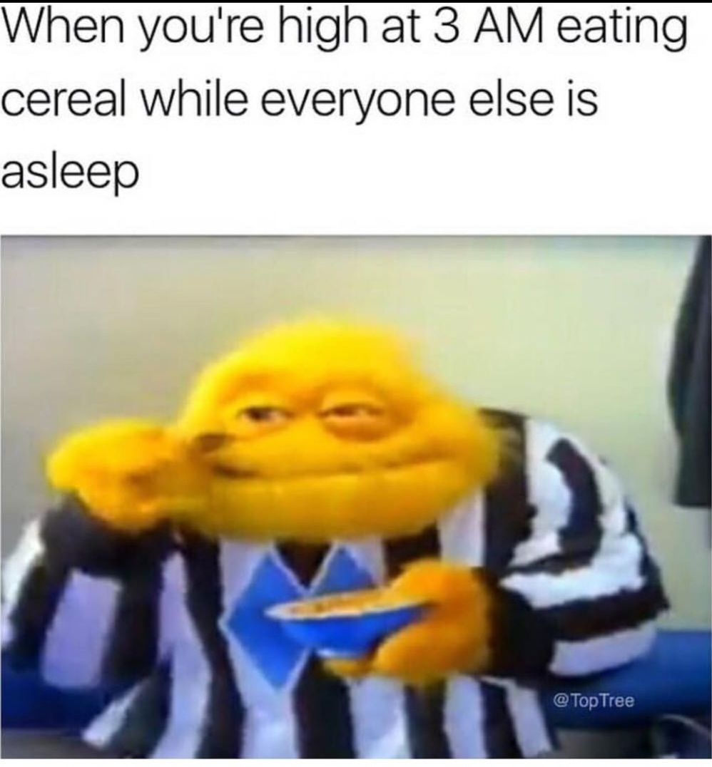MEQQVFV_o.jpg