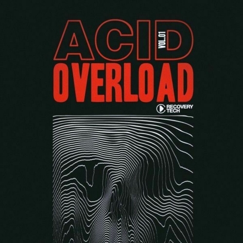  Acid Overload, Vol.01 (2025) 