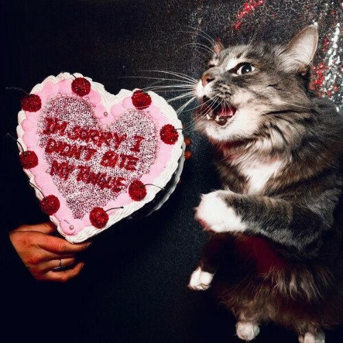  Instant Crush - I M SORRY I DIDN'T BITE MY TONGUE (Deluxe) (2026) 