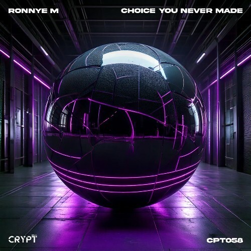  Ronnye M - Choice You Never Made (2025) 