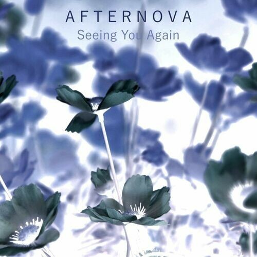 VA - Afternova - Seeing You Again (2023) (MP3)