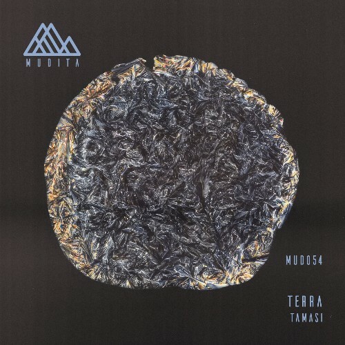 Tamasi - Terra (2026) Tamasi - Terra (2026)