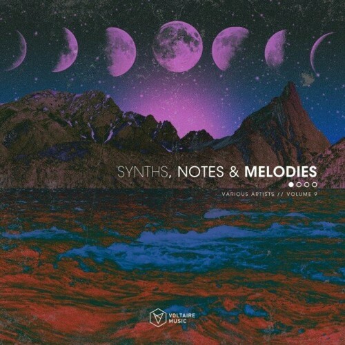 VA -  Synths, Notes & Melodies, Vol. 9 (2024) [MP3] MEW71EX_o