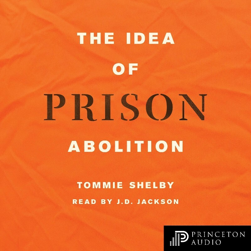 The Idea Of Prison Abolition (Tommie Shelby)
