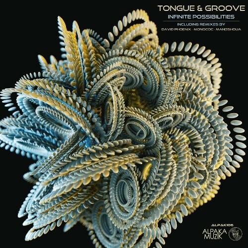  Tongue & Groove - Infinite Possibilities (2024) 