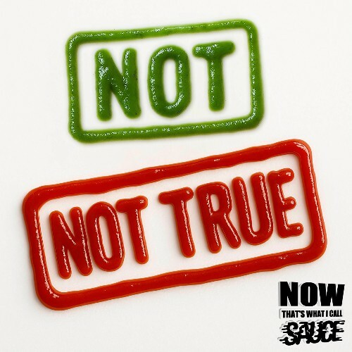  The Sauce - Not Not True (Zero T Remix) (2025) 