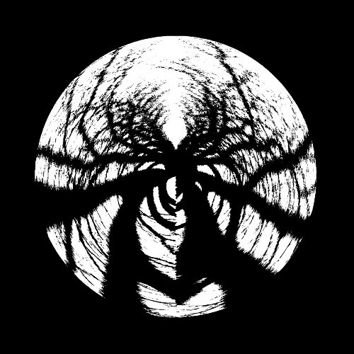  Phasmid - Dark Forest Theory (2026) 
