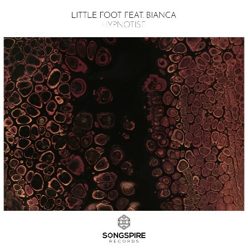  Little Foot Feat. Bianca - Hypnotise (2025) 